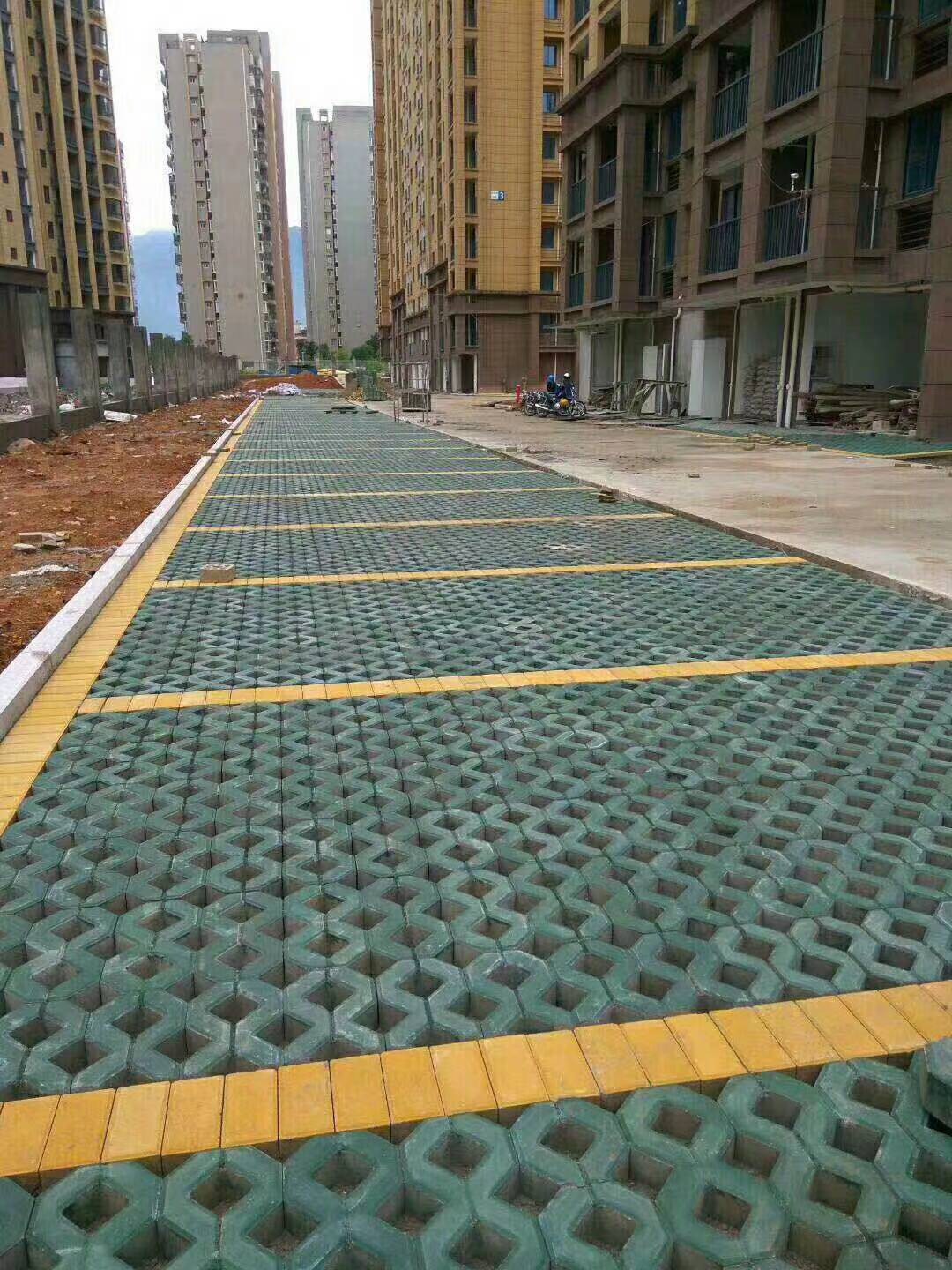 Grass Paver Mould factory